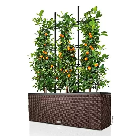 Решетки с изгибом Lechuza для Trio Cottage