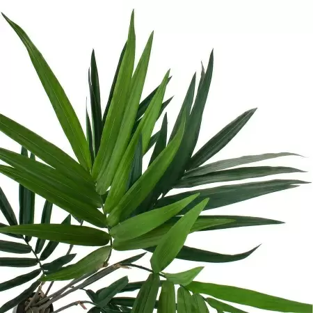 Пальма Кентия искусственная