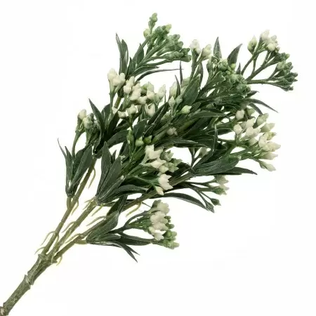 Гиперкиум искусственный Гиперкиум искусственный