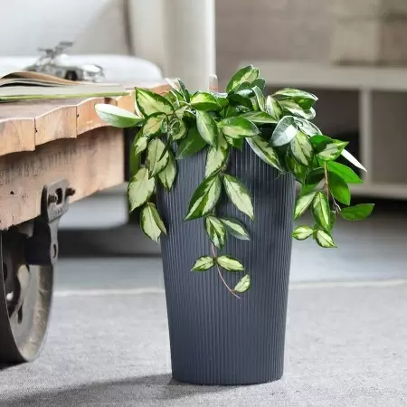 Кашпо Lechuza Cilindro Color