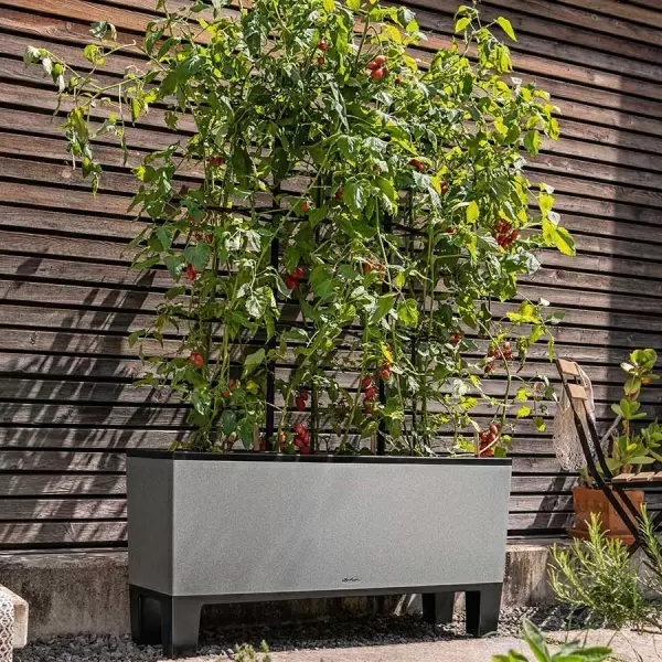 Кашпо Lechuza TRIO Stone