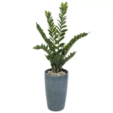 Растение искусственное Замиокулькас в горшке Vase Stone