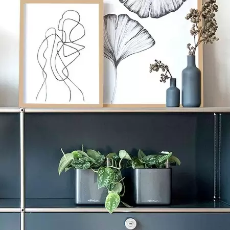 Кашпо Lechuza Cube Glossy