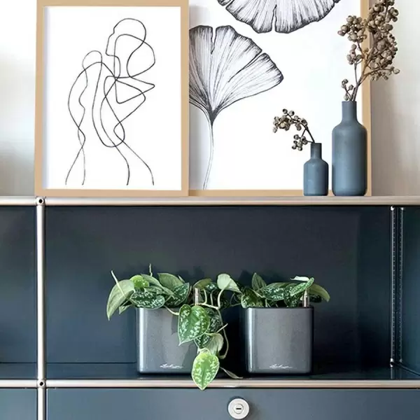 Кашпо Lechuza Cube Glossy