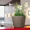 Кашпо Lechuza Quadro LS Кашпо Lechuza Quadro LS