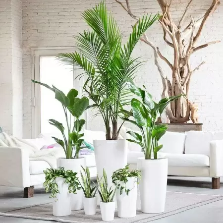 Кашпо Lechuza Deltini & MINI-Deltini