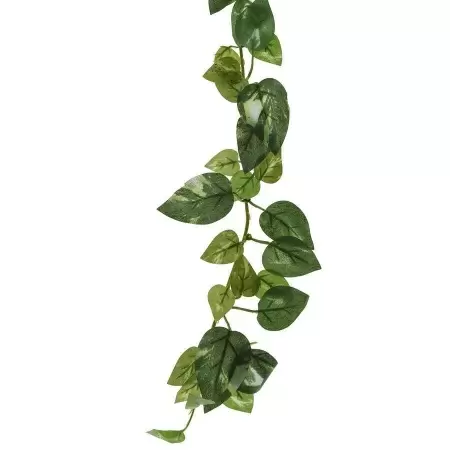 Искусственная лиана Потос