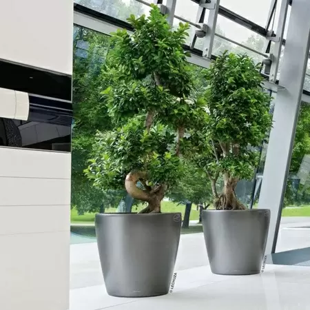 Кашпо Lechuza Classico LS