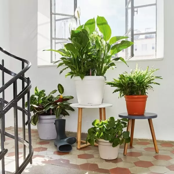 Кашпо Lechuza Rustico Color