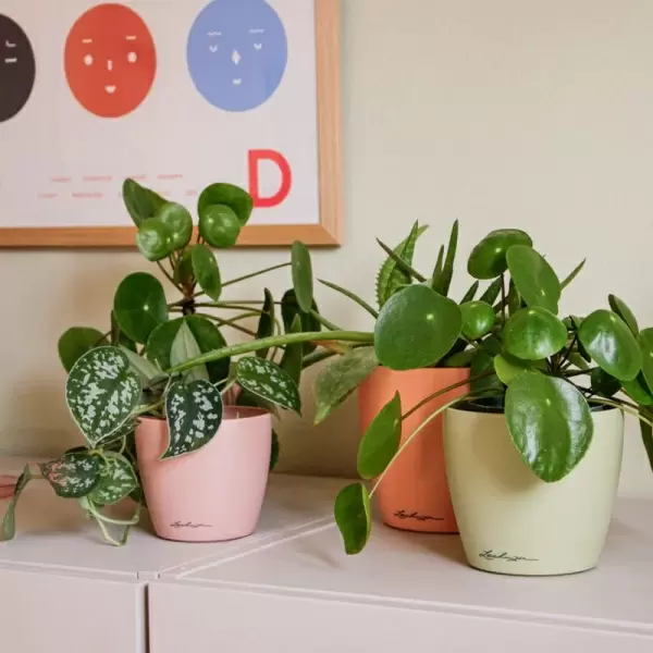 Кашпо Lechuza Classico Color Deco