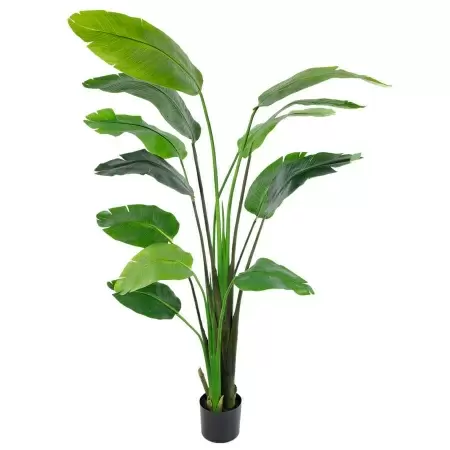 Стрелиция искусственная