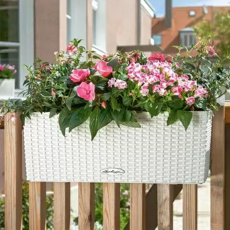 Кашпо Lechuza Balconera Cottage 50
