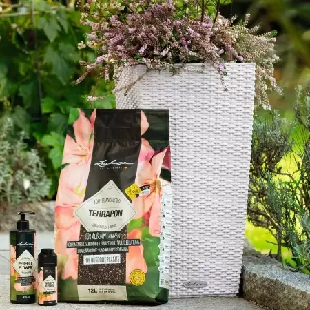 Субстрат Lechuza TERRAPON 
 Lechuza TERRAPON