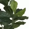 Фикус Лирата искусственный