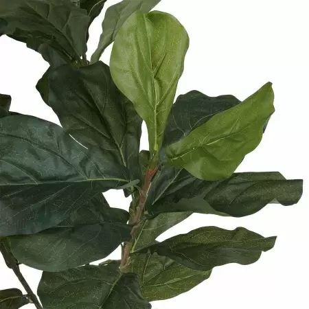 Фикус Лирата искусственный