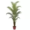 Пальма Арека искусственная