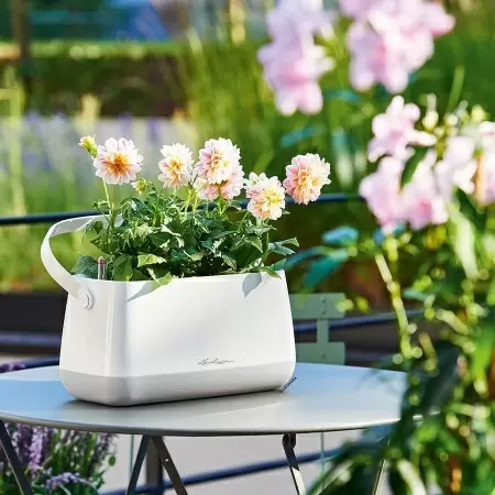 Кашпо Lechuza Yula