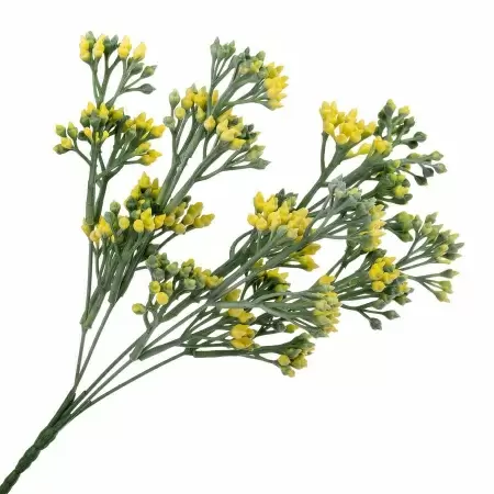 Гиперкиум искусственный Гиперкиум искусственный