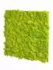 Панель из стабилизированного мха, светло-зеленый