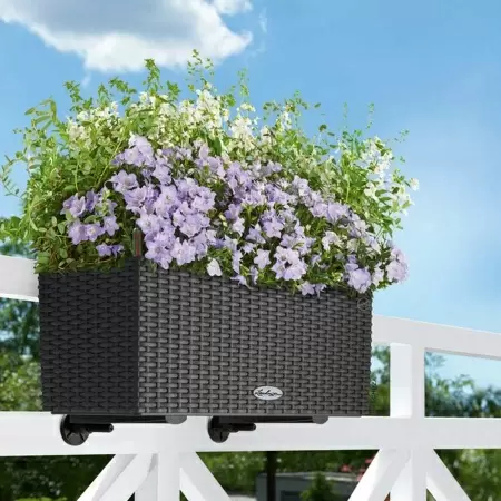 Кашпо Lechuza Balconera Cottage 50 Кашпо Lechuza Balconera Cottage 50