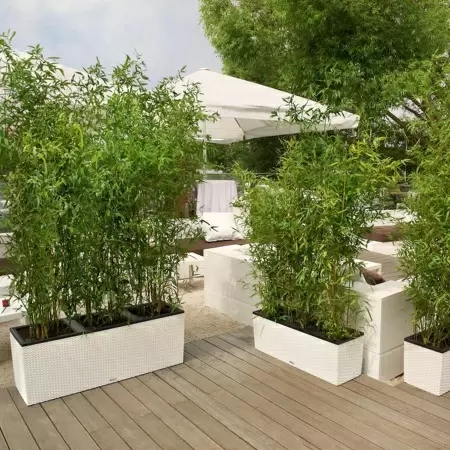 Кашпо Lechuza TRIO Cottage