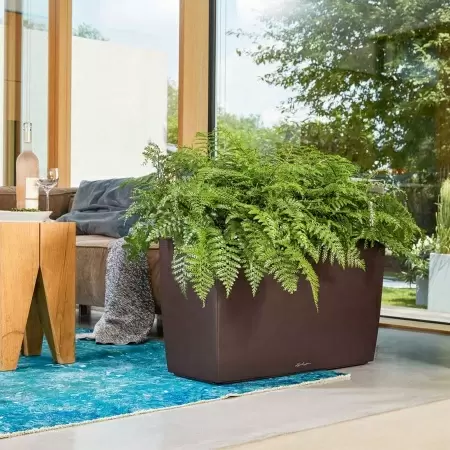 Кашпо Lechuza Cararo