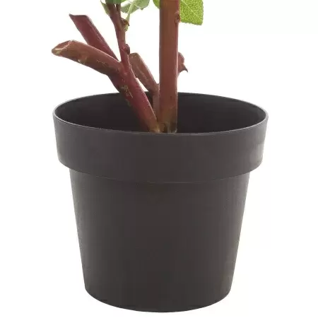 Роза искусственная в кашпо Роза искусственная в кашпо