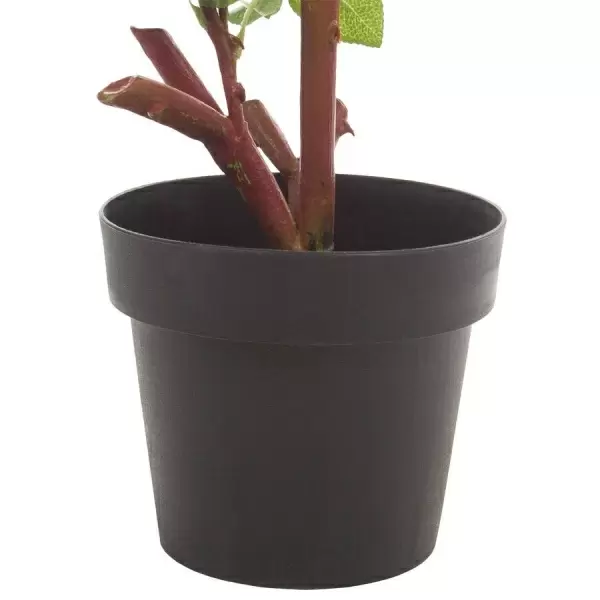 Роза искусственная в кашпо Роза искусственная в кашпо