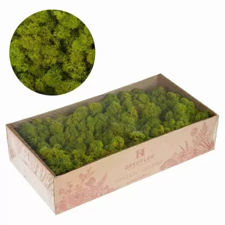 Ягель стабилизированный зеленый лайм