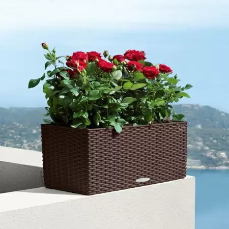 Кашпо Lechuza Balconera Cottage 50 Кашпо Lechuza Balconera Cottage 50
