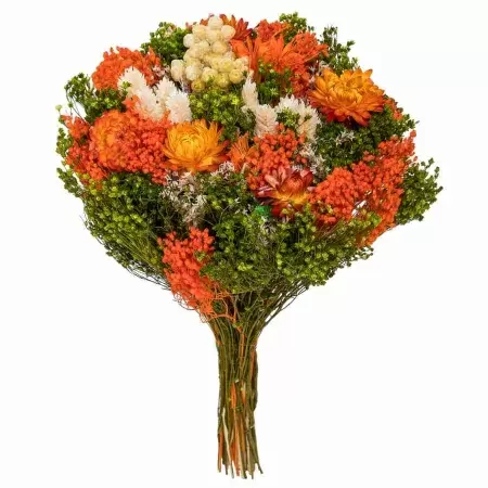 Стабилизированный букет Фантазия оранжевый
