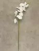 Фаленопсис искусственный 