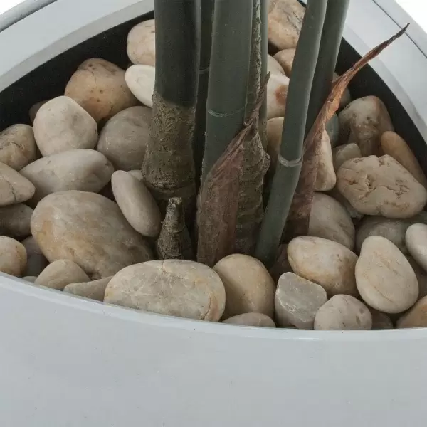 Бамбук искусственный в горшке Crater Silk 