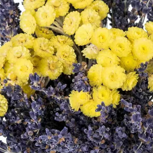 Стабилизированный букет Лаванда с желтым цмином