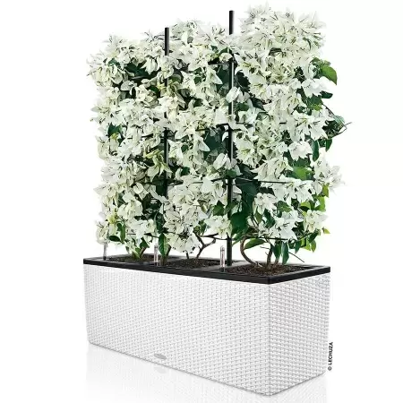 Кашпо Lechuza TRIO Cottage