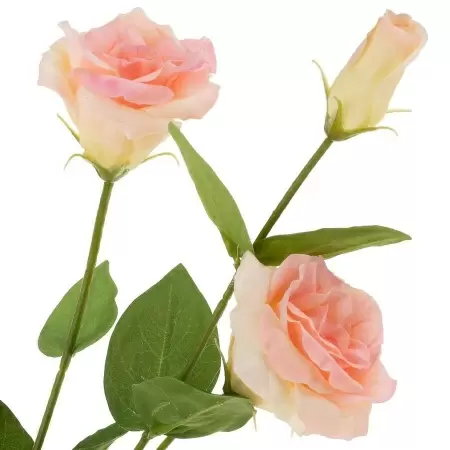 Лизиантус искусственный