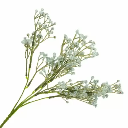 Гипсофила искусственная