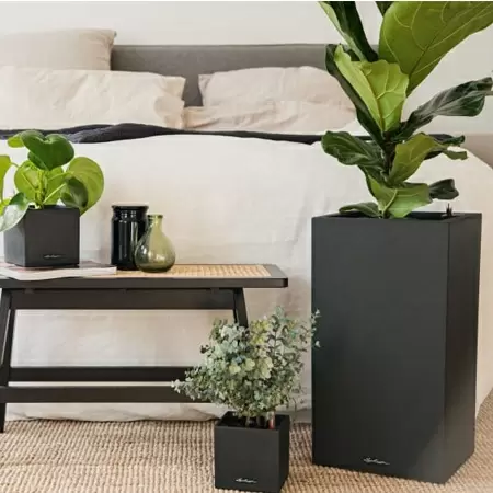 Кашпо Lechuza Canto Stone high