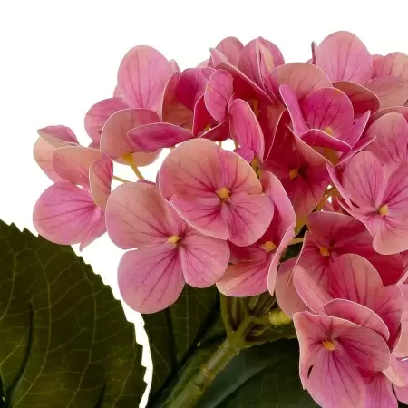 Гортензия силиконовая