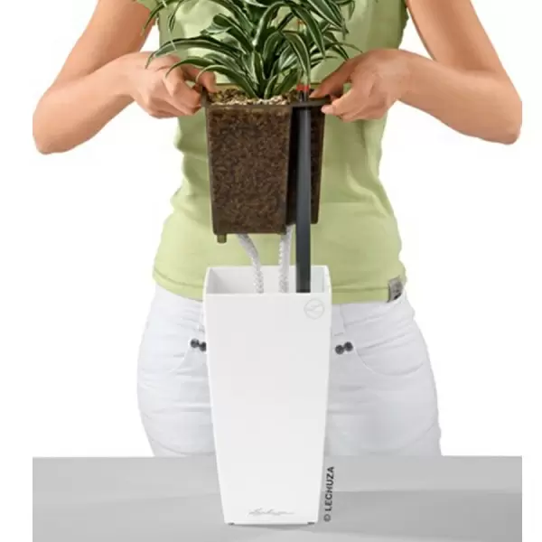 Кашпо Lechuza MINI-Cubi & MAXI-Cubi