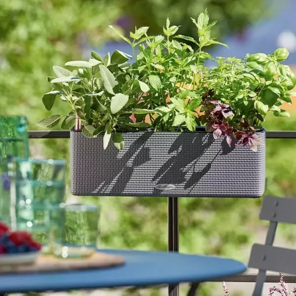 Кашпо Lechuza Cube Color Triple Кашпо Lechuza Cube Color Triple