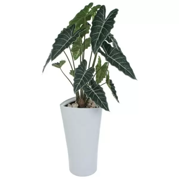 Искусственное растение Алоказия в горшке Crater Silk