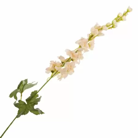 Дельфиниум искусственный