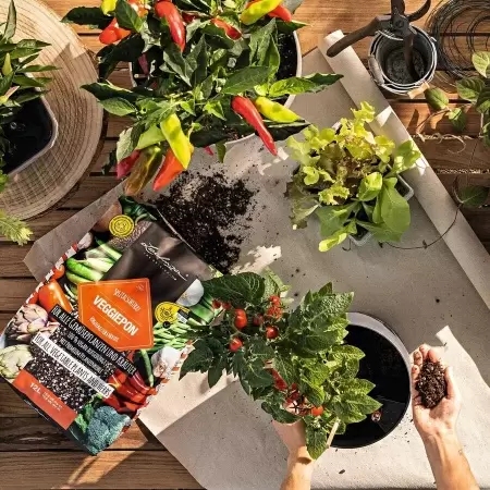 Субстрат Lechuza VEGGIEPON