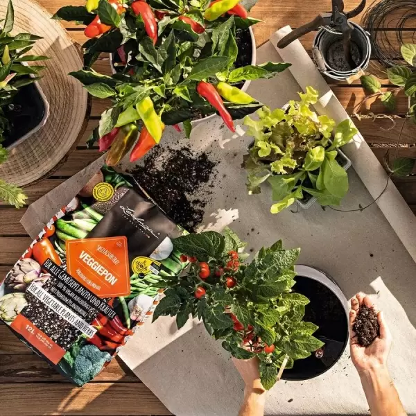 Субстрат Lechuza VEGGIEPON