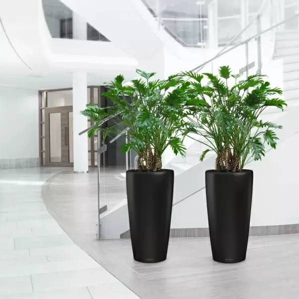 Кашпо Lechuza Rondo matt