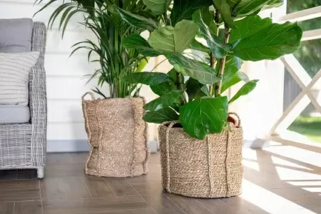 Кашпо плетеное Tower фото