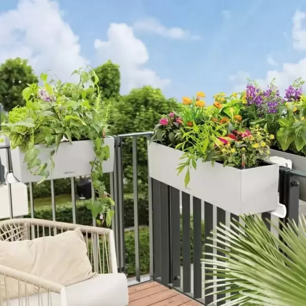 Кашпо Lechuza Balconera Stone 100