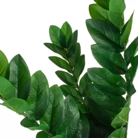 Замиокулькас искусственный