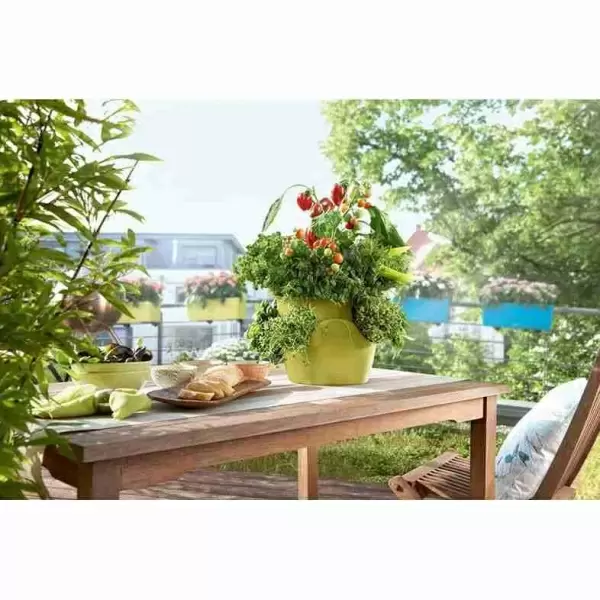 Кашпо Lechuza Cascadino Color Кашпо Lechuza Cascadino Color